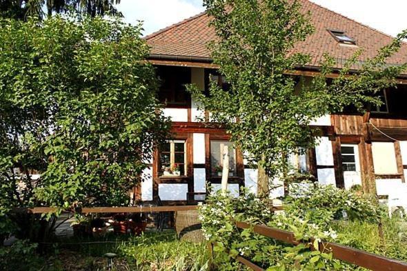Apartments Saba & Jona Uetendorf Екстер'єр фото